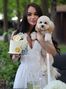 Anna, Vinnitsa, Ukraine, mail order brides russian photo 1690219
