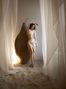Patricia, %city%, Russian-speaking, model photo shoot photo 1590008