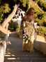 Viktoria, Kiev, Ukraine, flirt dating photo 1691747